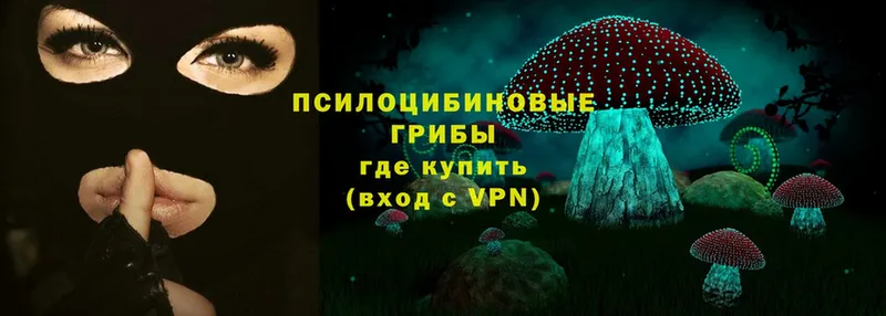 Галлюциногенные грибы MAGIC MUSHROOMS  Киселёвск 